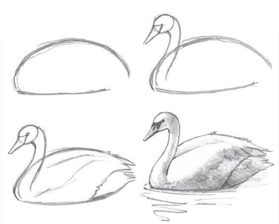 How to draw Goose idea (9)