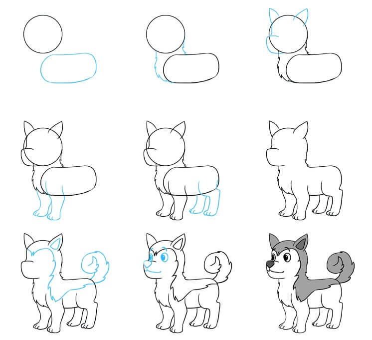 How to draw Husky idea (10)