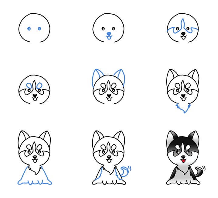 How to draw Husky idea (11)