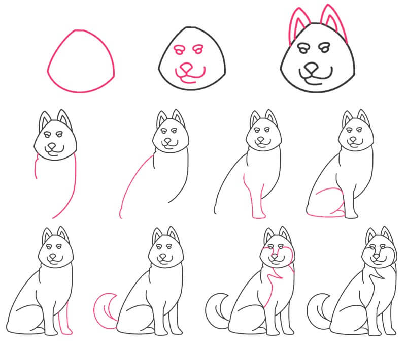 How to draw Husky idea (12)