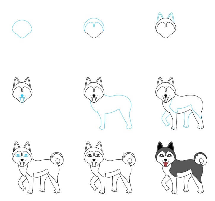 Husky idea (13) Drawing Ideas