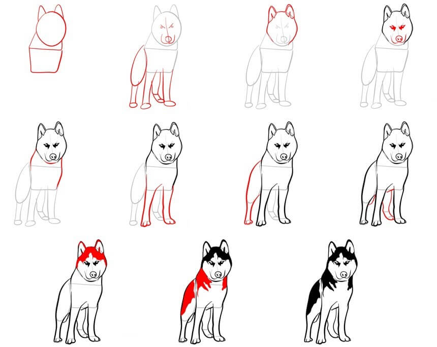 Husky idea (18) Drawing Ideas