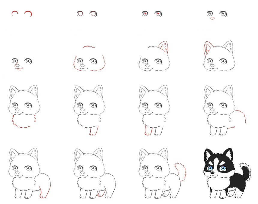 How to draw Husky idea (19)