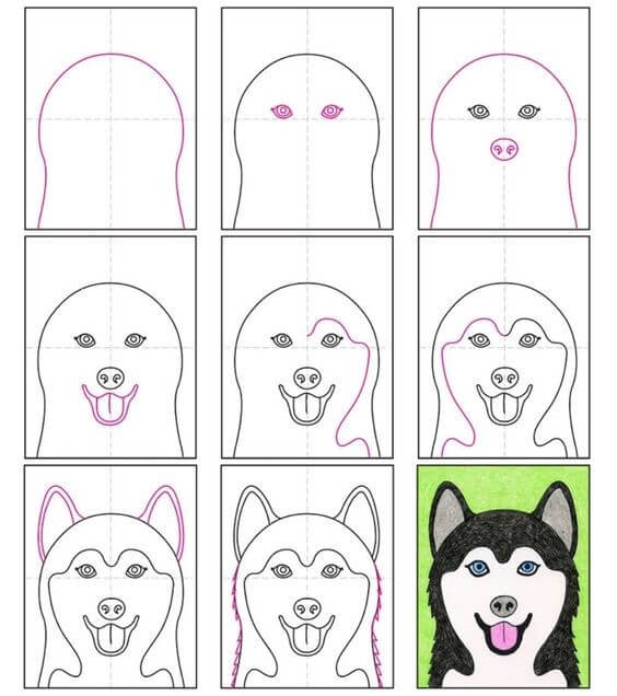 Husky idea (3) Drawing Ideas