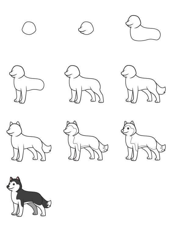 How to draw Husky idea (6)