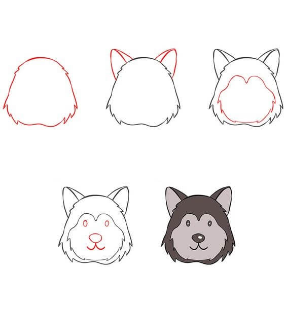 How to draw Husky idea (7)