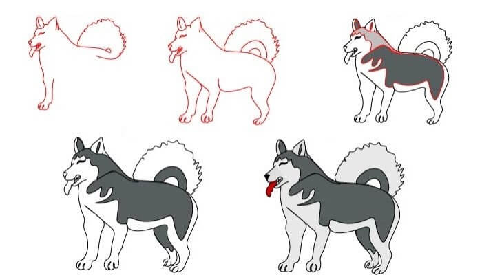 How to draw Husky idea (9)