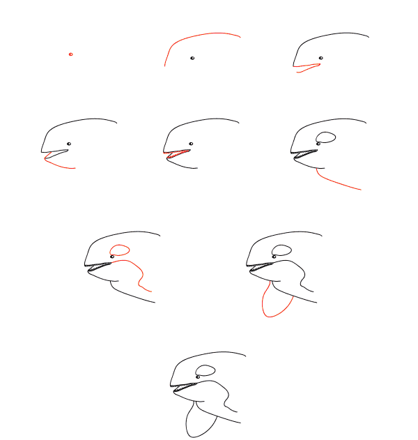 How to draw killer whale face