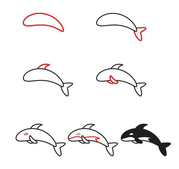 How to draw killer whale for kids