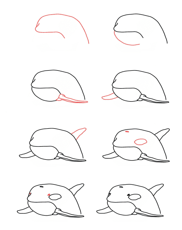 How to draw killer whale head