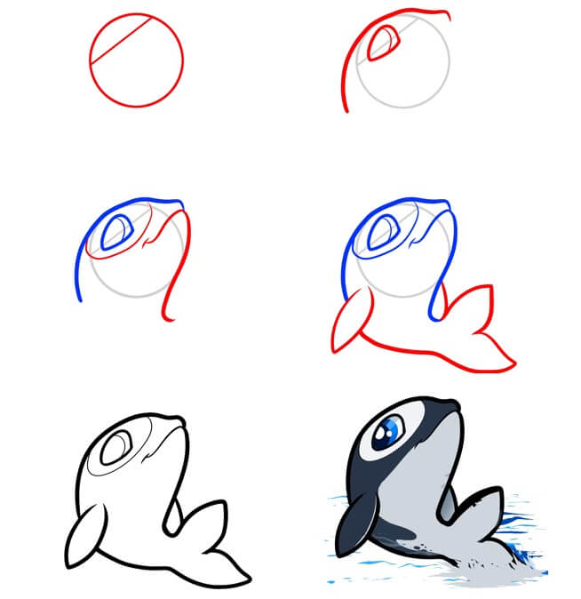 How to draw Killer whale idea (11)