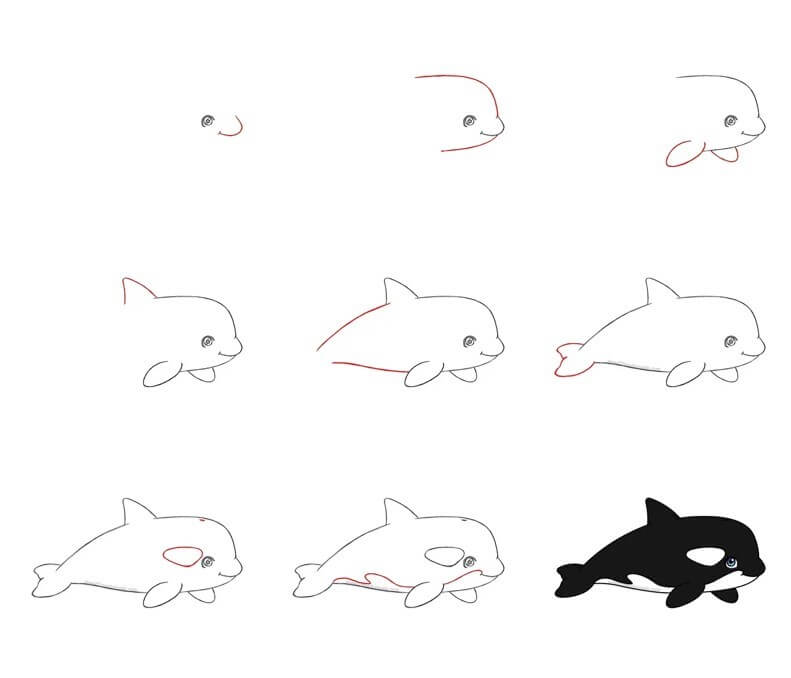 Killer whales Drawing Ideas