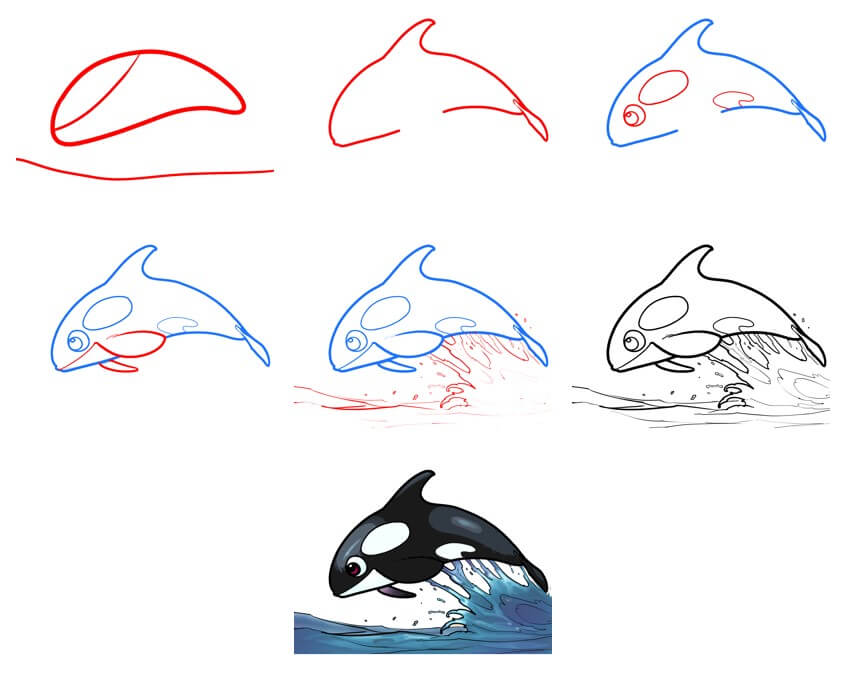 How to draw Killer whale idea (19)