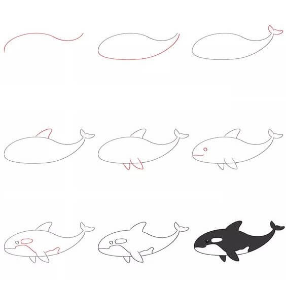 Killer whale idea (2) Drawing Ideas