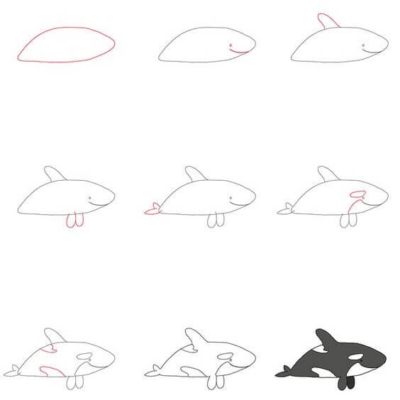 How to draw Killer whale idea (3)