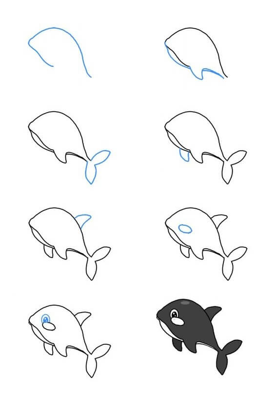 Killer whale idea (6) Drawing Ideas