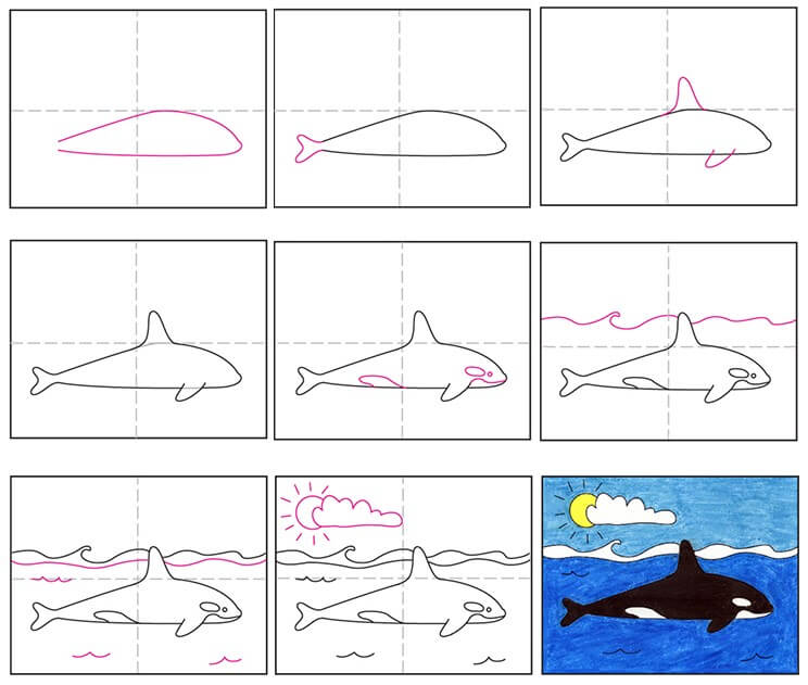 How to draw Killer whale idea (9)