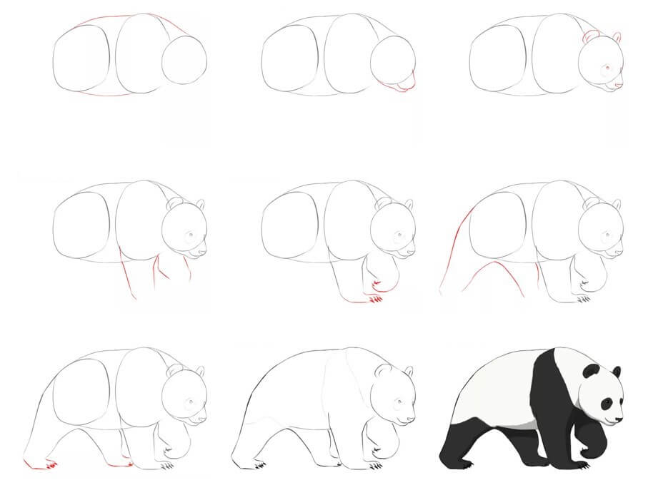 Panda bear idea (30) Drawing Ideas
