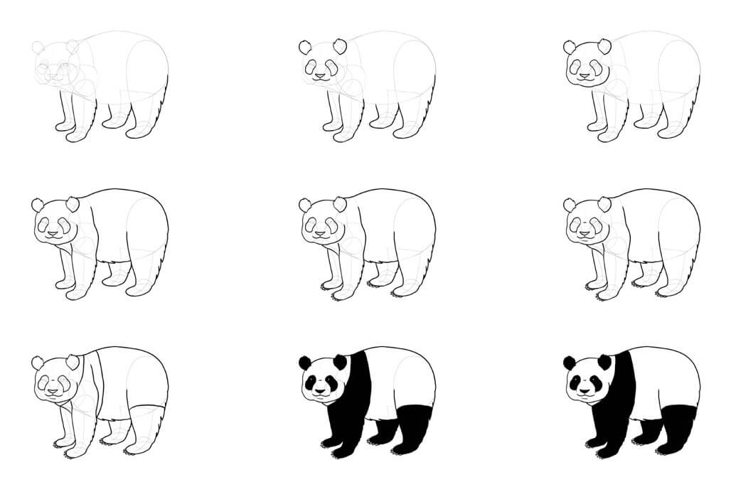 Panda bear idea (41) Drawing Ideas