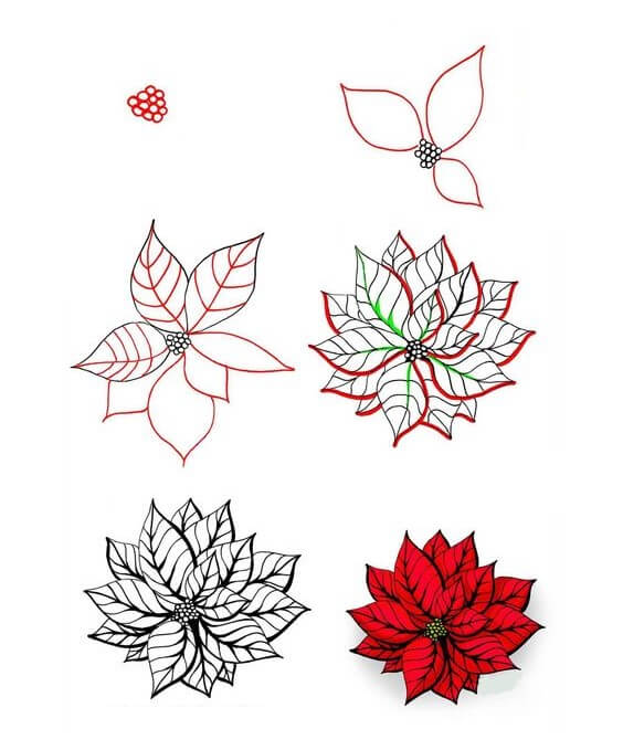 How to draw Poinsettia idea (1)