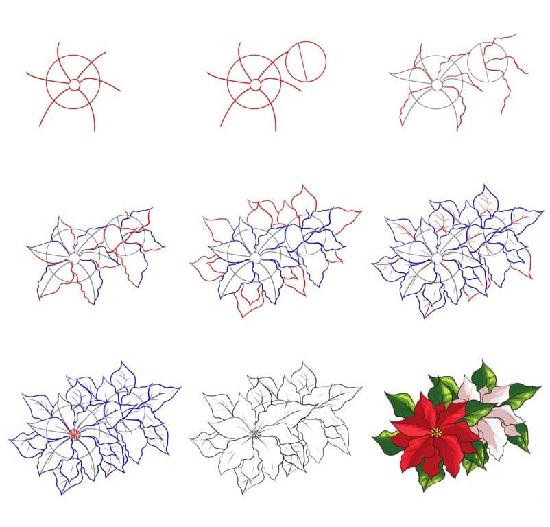 Poinsettia idea (11) Drawing Ideas