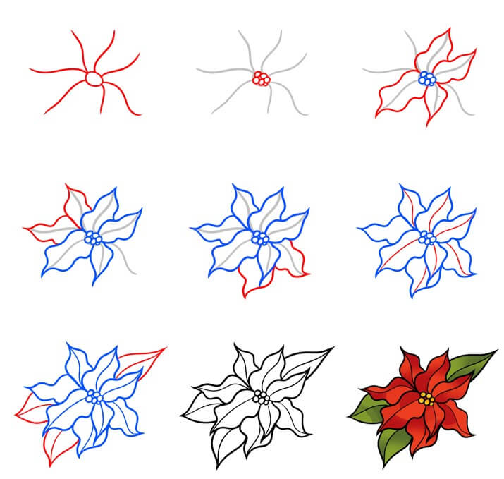 Poinsettia Flowers Drawing Ideas