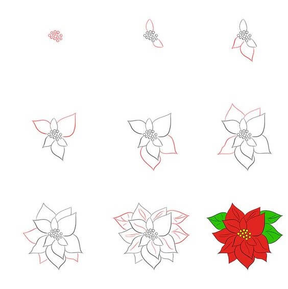 How to draw Poinsettia idea (5)