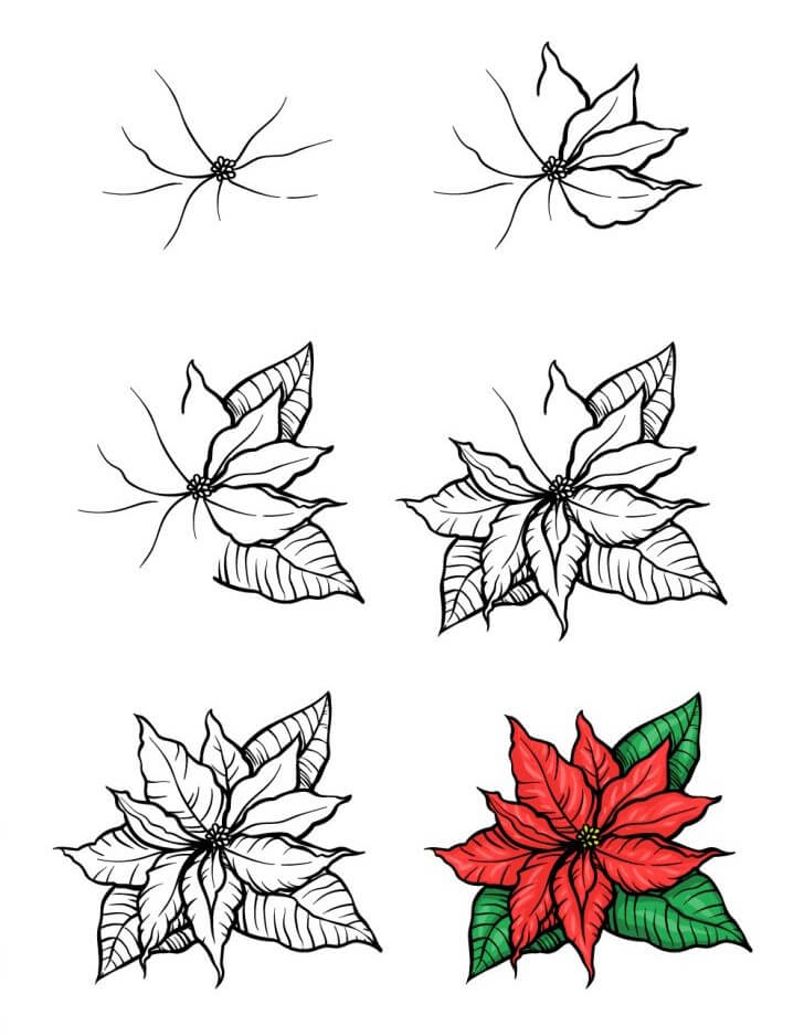 How to draw Poinsettia idea (8)