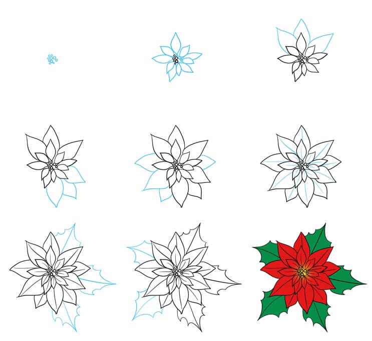 Poinsettia idea (9) Drawing Ideas