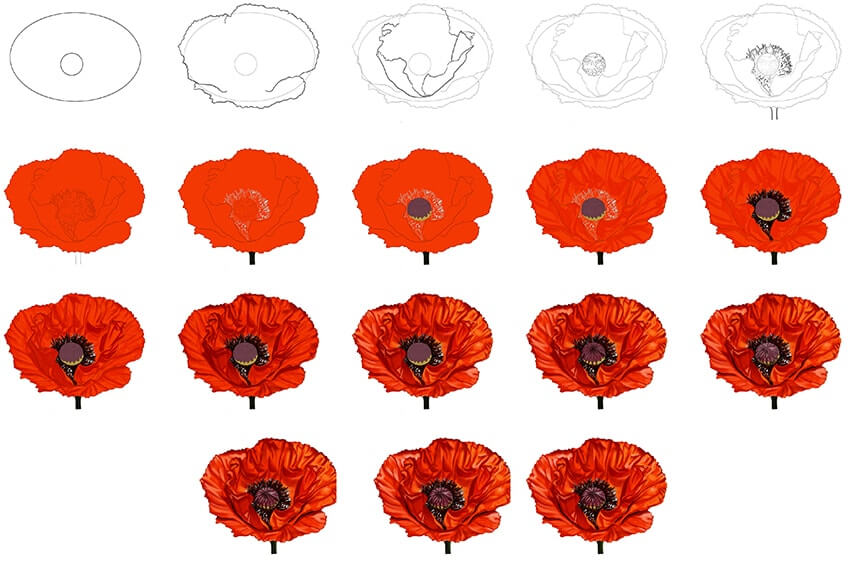 Poppy Flower idea (11) Drawing Ideas