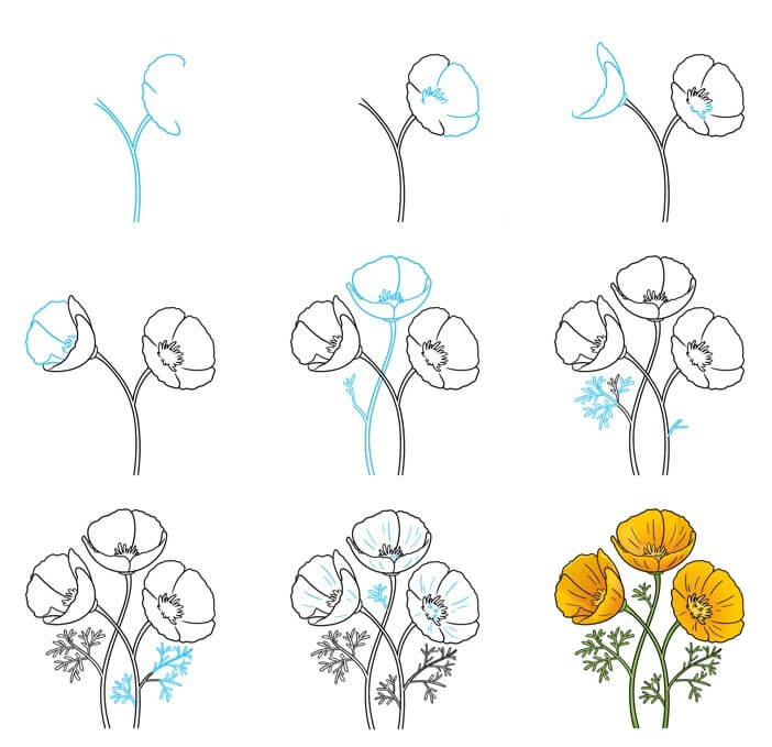 How to draw Poppy Flower idea (13)