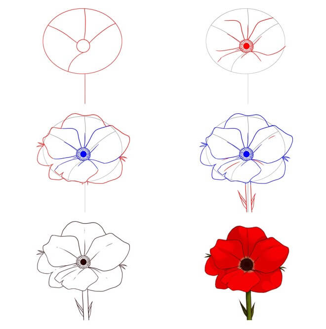 Poppy Flower idea (15) Drawing Ideas