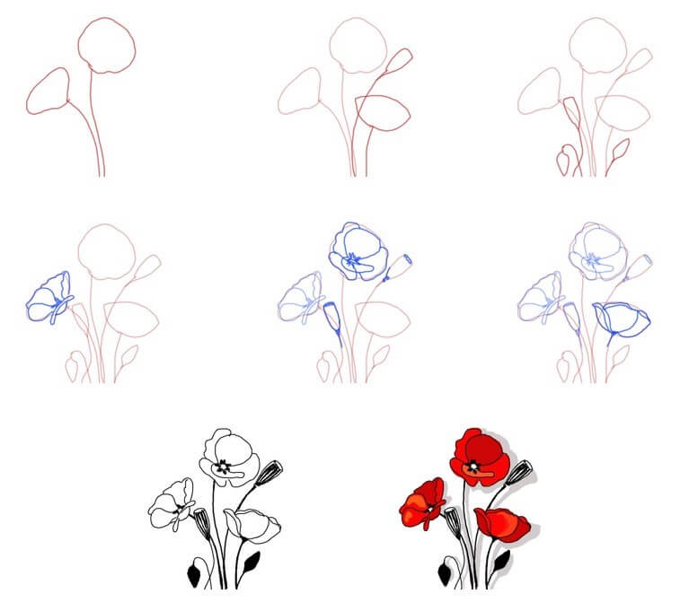 Poppy Flower idea (16) Drawing Ideas