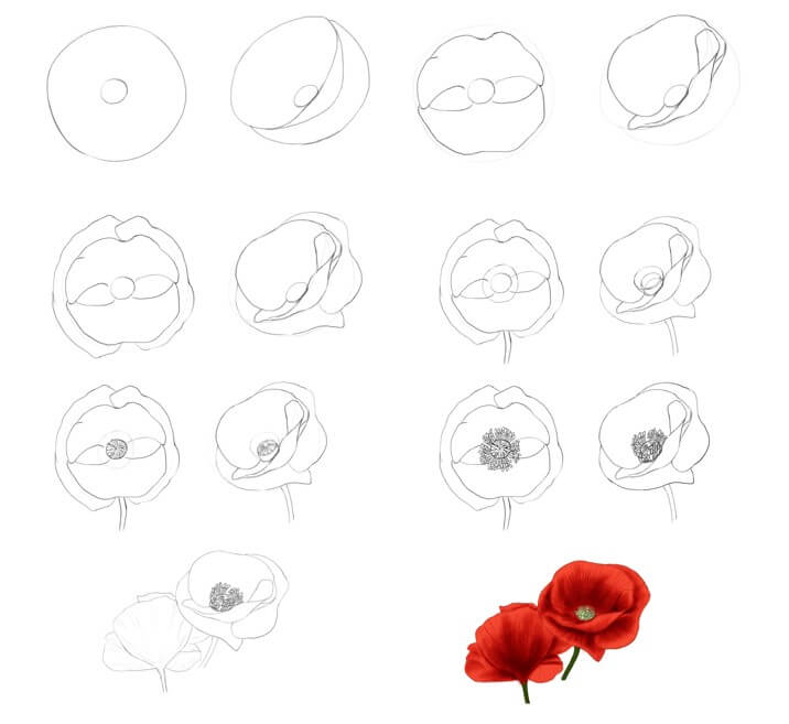 Poppy Flower idea (17) Drawing Ideas