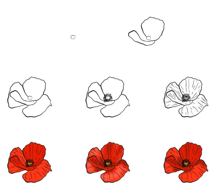 Poppy Flower idea (19) Drawing Ideas