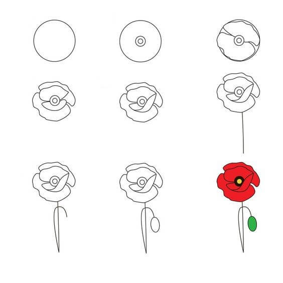 How to draw Poppy Flower idea (3)