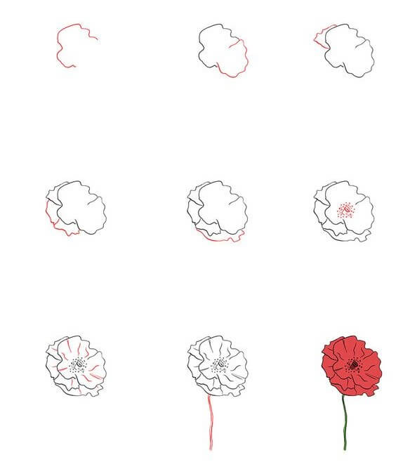 Poppy Flower idea (7) Drawing Ideas