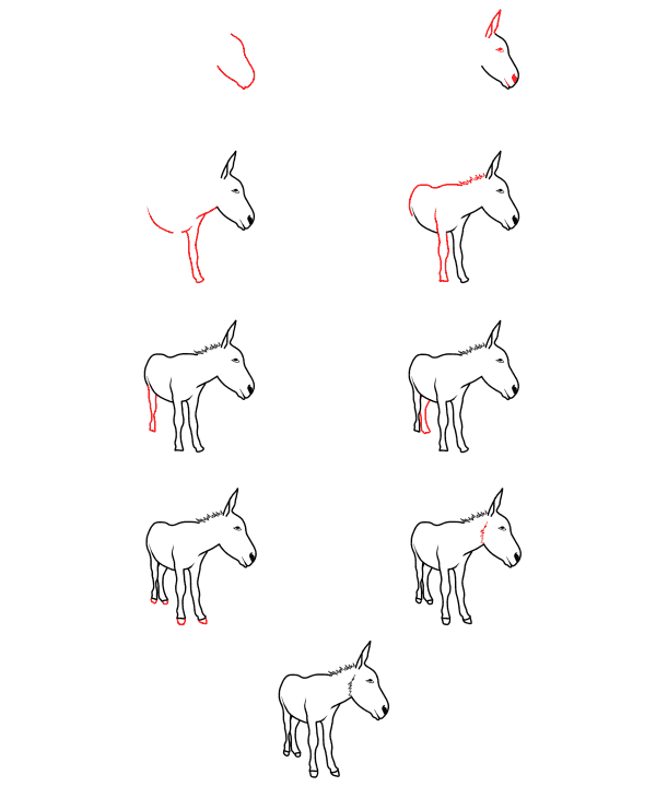 Realistic donkey Drawing Ideas