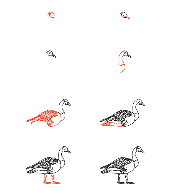 Realistic goose Drawing Ideas