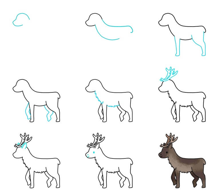 How to draw Reindeer 9