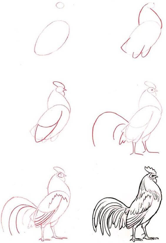 How to draw Rooster idea (10)