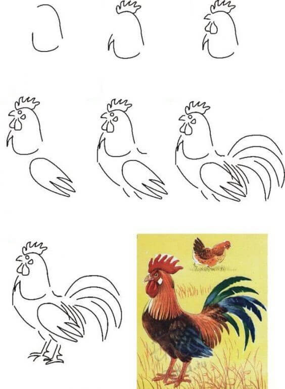 How to draw Rooster idea (12)