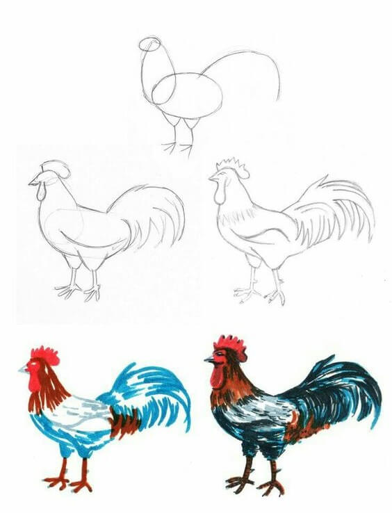 How to draw Rooster idea (13)