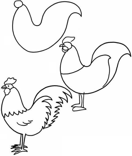 How to draw Rooster idea (14)