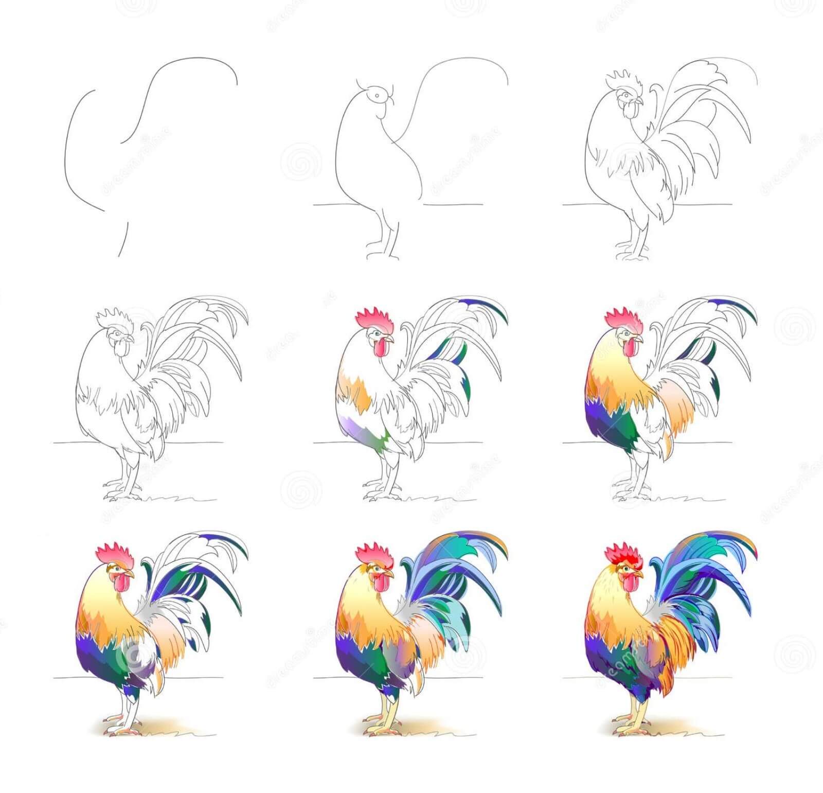 How to draw Rooster idea (16)