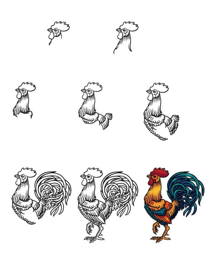 How to draw Rooster idea (17)