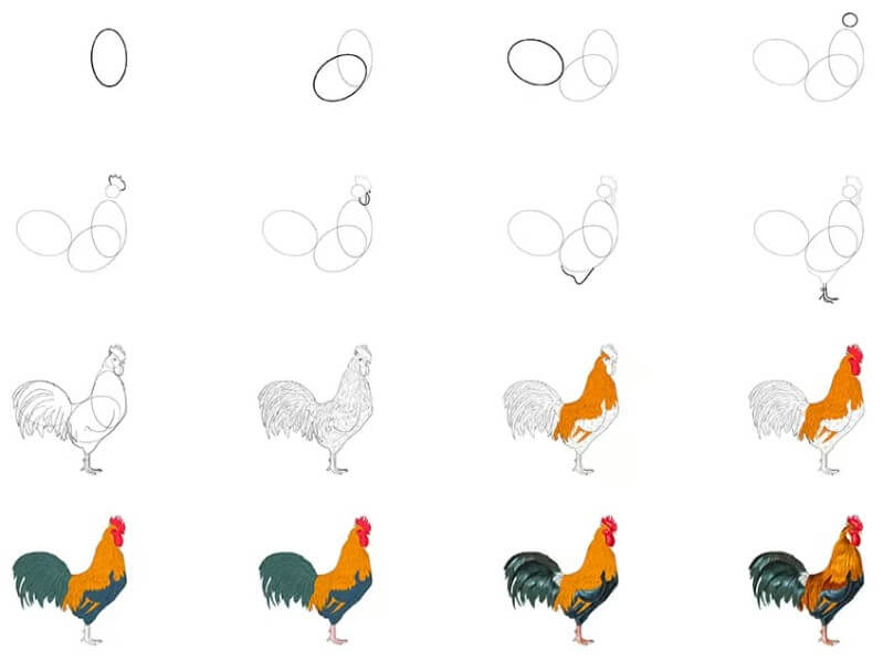 How to draw Rooster idea (19)