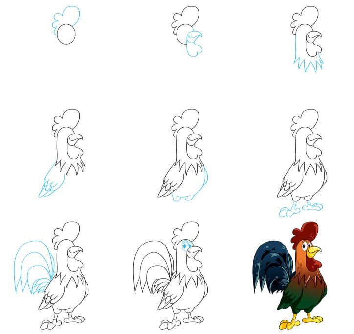 How to draw Rooster idea (21)