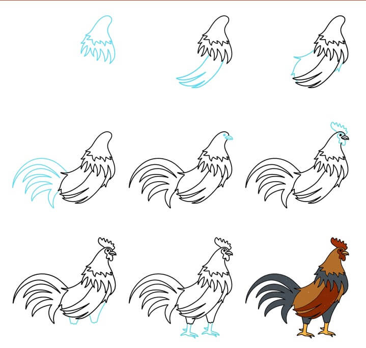 Rooster Drawing Ideas
