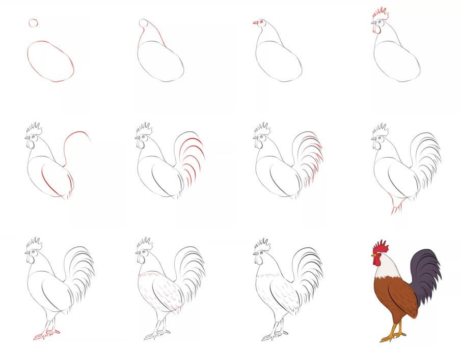 How to draw Rooster idea (23)